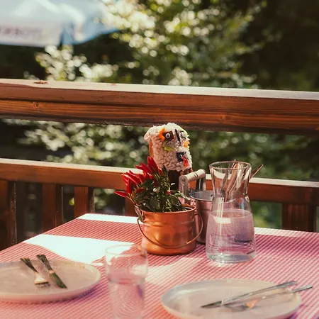 Kuker Hut - кукер Hytte Sofia